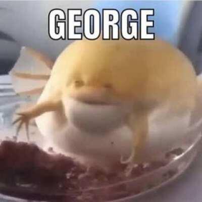 George