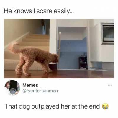 He's a little too smart