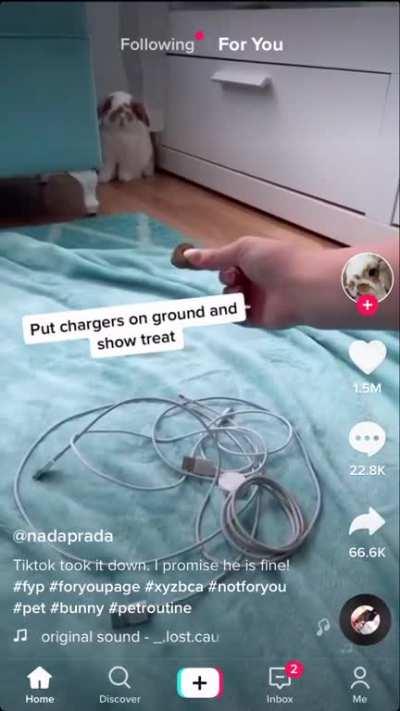 Crosspost from r/aww. The ending...