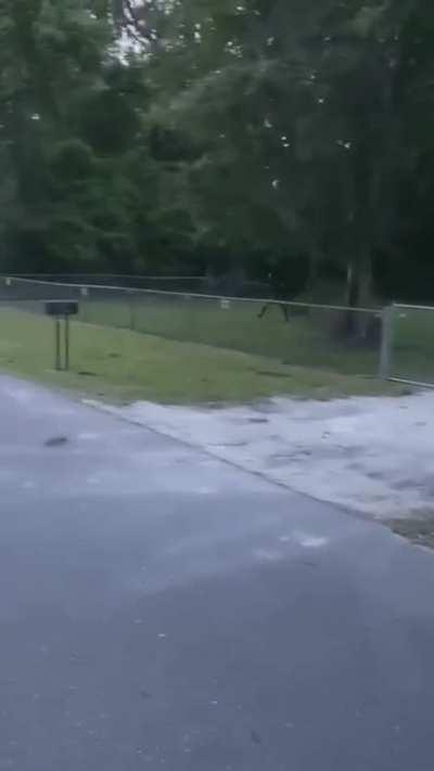 You gotta get that football somehow