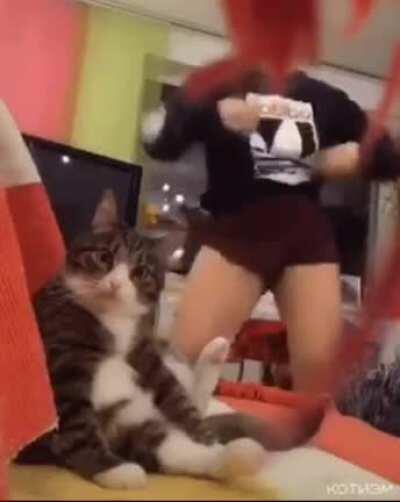 Do you see what I have to deal with?