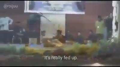 Los otakus en juegos