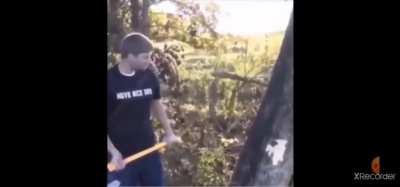 How to cut a tree fast.