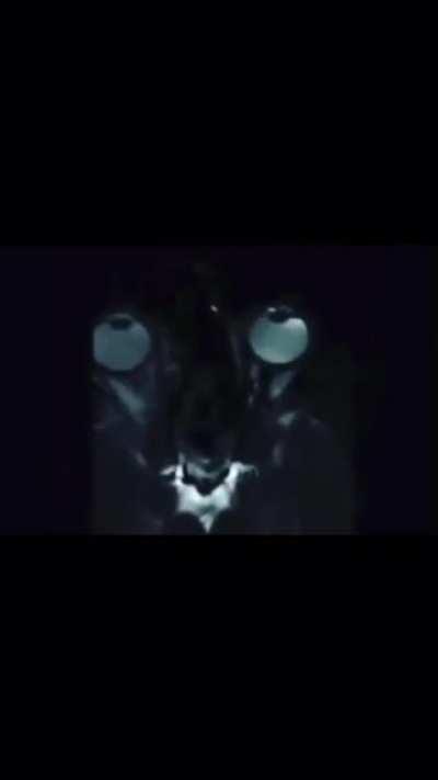 Thanks, I hate rubbing my eyes.