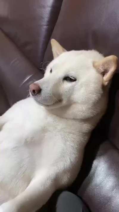 How's your day going?