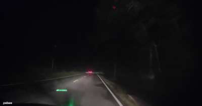 [oc] had to slow down for a deer, person that had been tailgating me for miles decided to go around despite me honking trying to warn them…poor deer