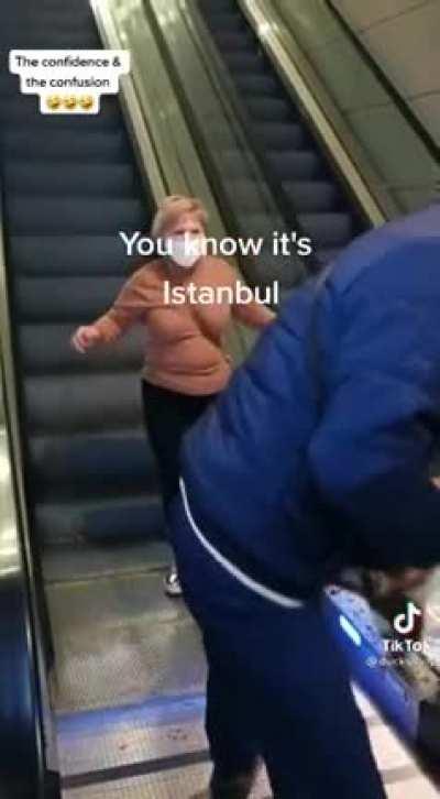 Chad helps cat get on the correct escalator