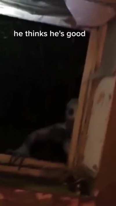 hide and seek is so fun 😊 