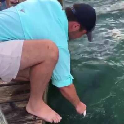 There’s always a bigger fish....