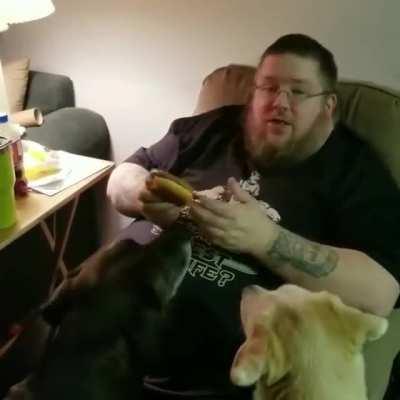 Can I has Cheeseburger?