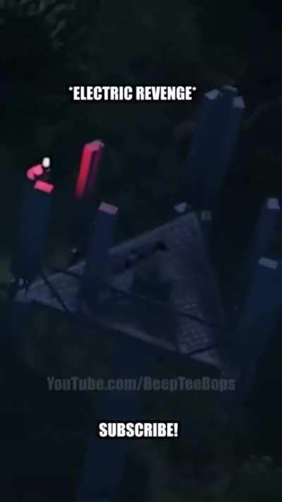 You got French fries?