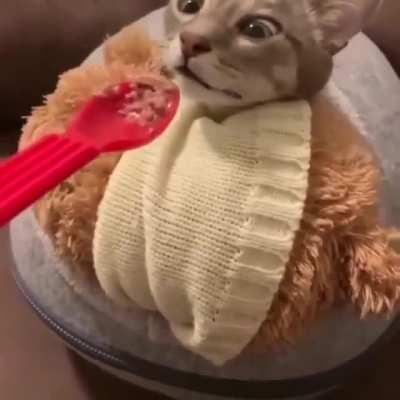 ............FOOOOOOOOD