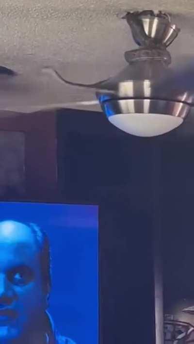 Snake slithering down a fan