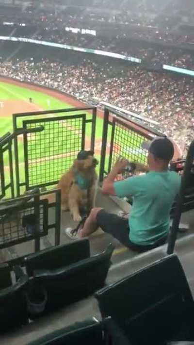 Вот это выдержка