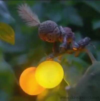 Delightful! Enchanting! I love everything about this..