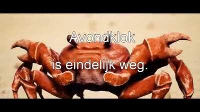 Huppakee, terug naar de schrijftafel