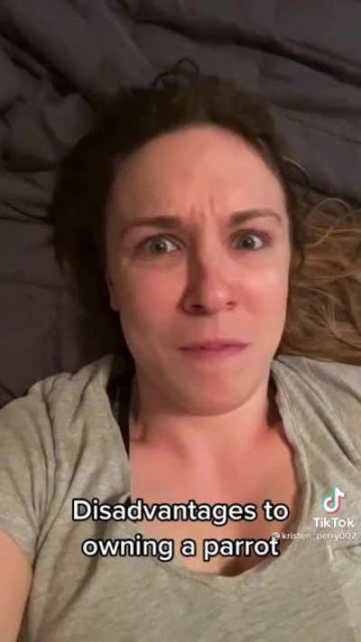 Disadvantages of owning a parrot