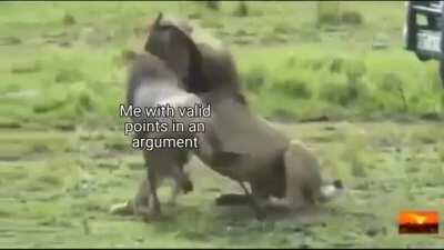 I regret making this