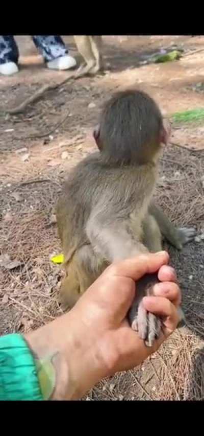 Wait, who TF are you?!