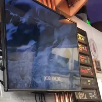 Watching 101 Dalmatians at a bar.