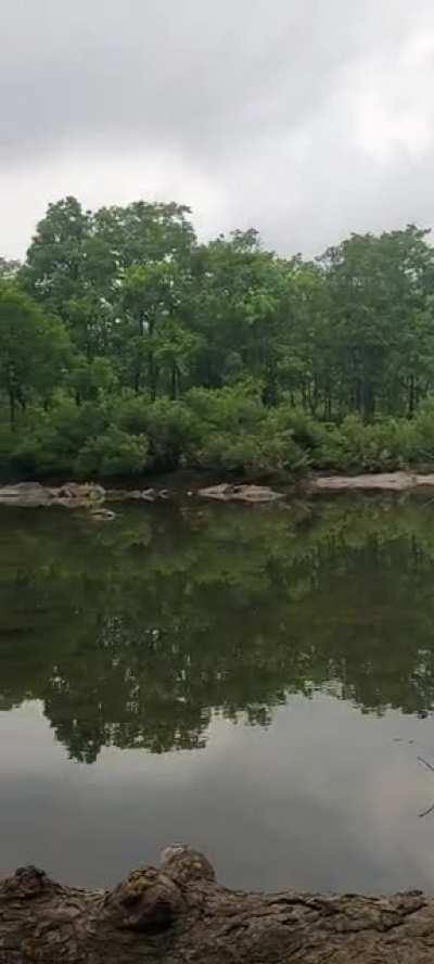 This is the side of Goa I prefer. Quiet, clean and natural. P.S. Location won't be revealed.