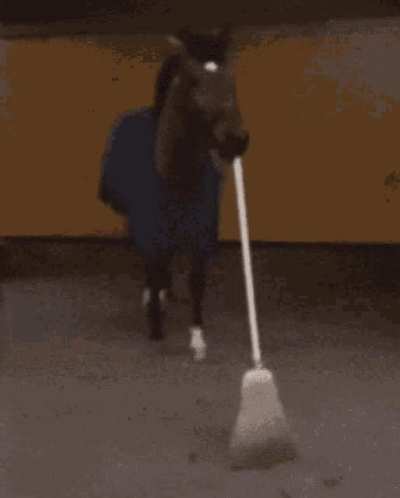 Gotta sweep sweep sweep