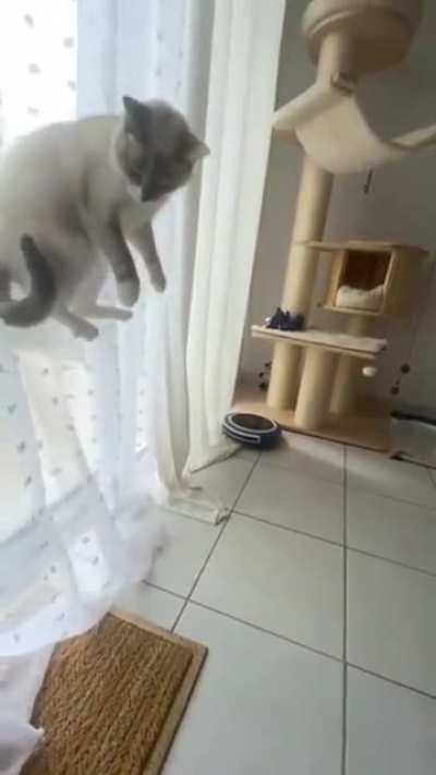 The way she looks back