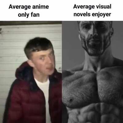 Read the visual novels guys