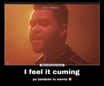 Yo también