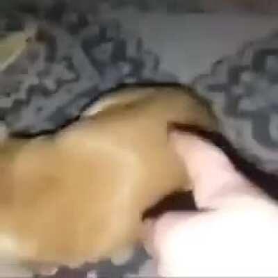 Well his hand is no more...