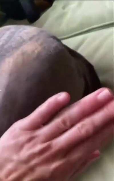 idk what to title this