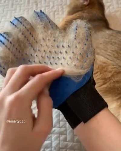 Creditos a pessoa da marca d'agua