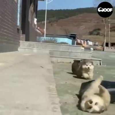 Synchronized falling