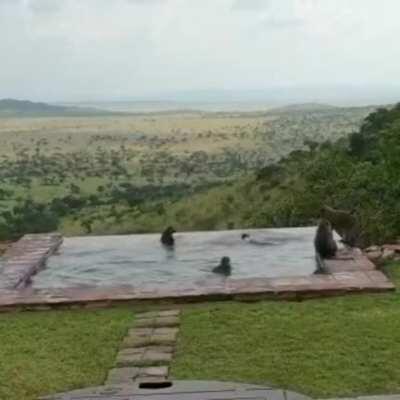 Just hanging out with friends at the pool, doing the cannonball