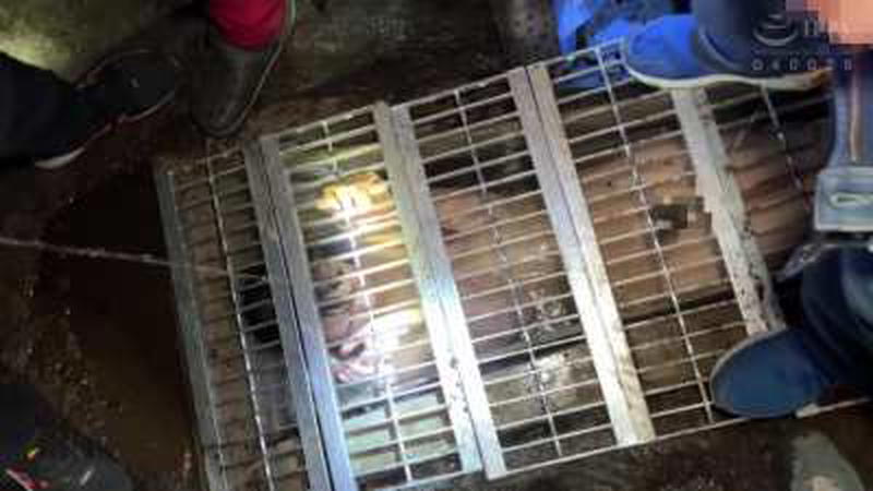 [OMHD-018] Fetish: Peed on Sewage Girl