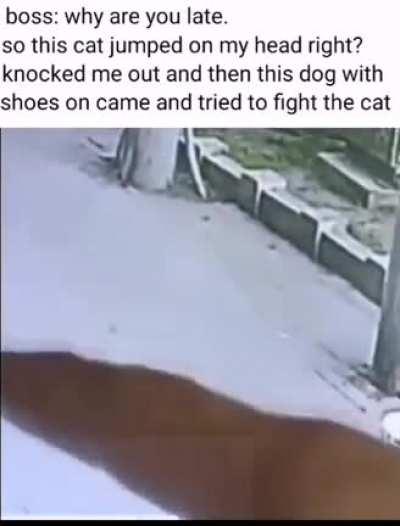 That's some cartoon shit