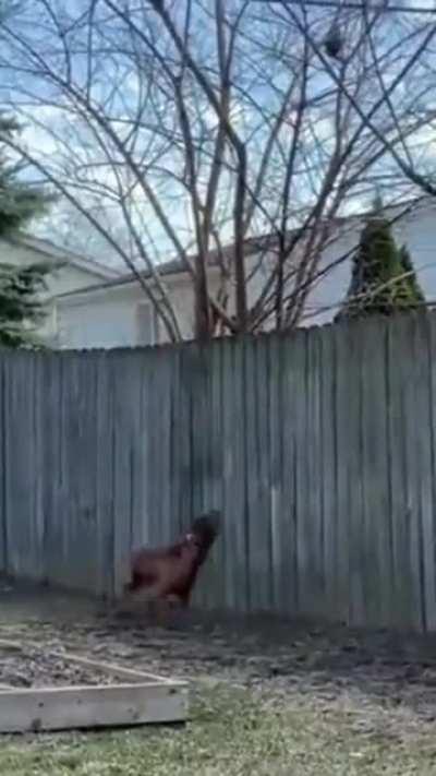 энергия живого