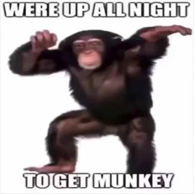 Return to monke