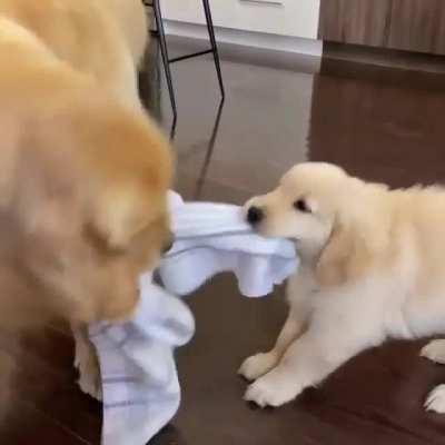 Good boy playing with his son