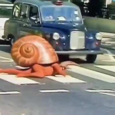 the snail man