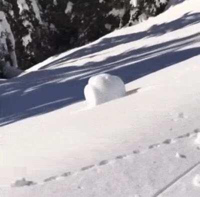 你在期待什么？