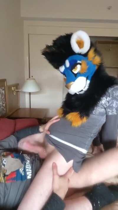 [Furry] Haha whoops I ruined the headboard~