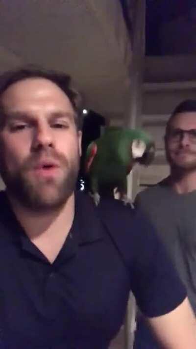 My boyfriend is on a houseboat partying for the weekend. He sent me this with no context.