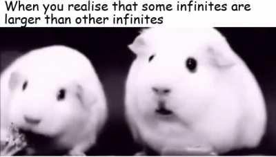 Wait!! What did you just say?