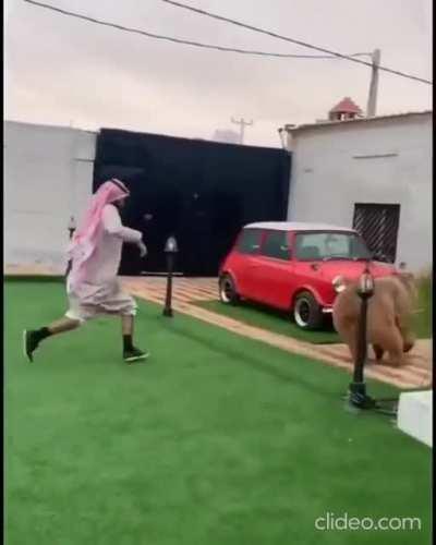 Man pulled the reverse card