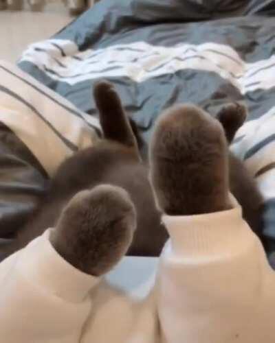 Paws that you fall in love with...!