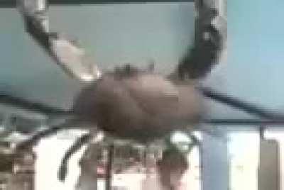 I kill and rape kids