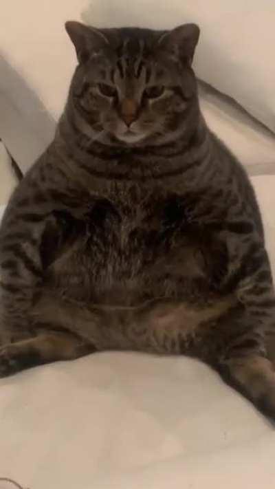 Look at this distinguished gentleman