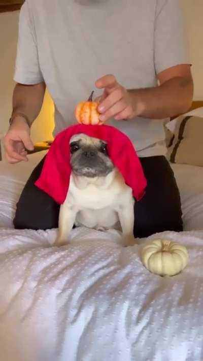 Shocking! Black magic is used on unsuspecting victim, luring them into the dark arts and the arms of Satan. Please join me in prayer to save their eternal soul!