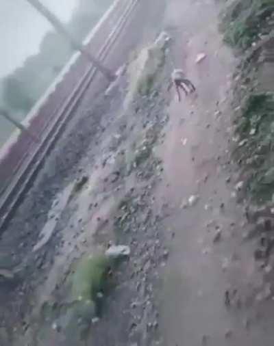 Poor lady got hit by crazy 🐵